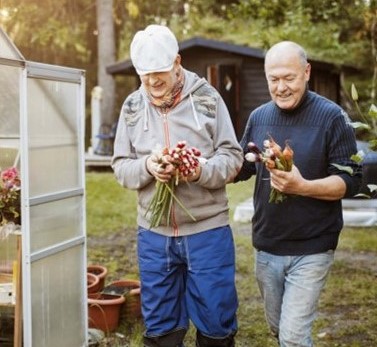 Två något äldre män med grönsaker i händerna. Vid ett växthus.