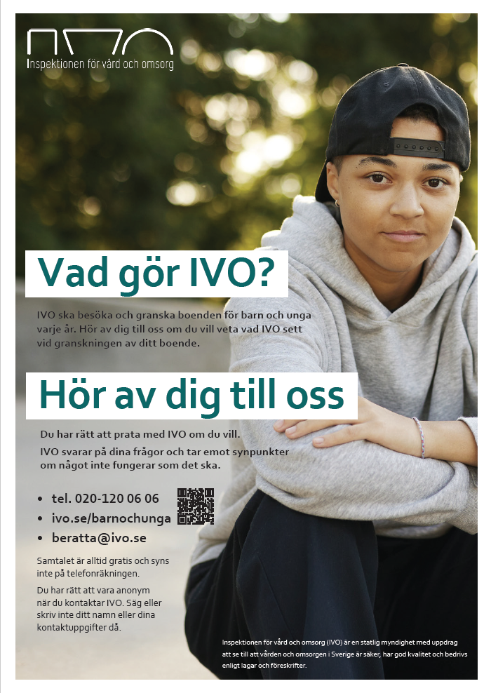 Affisch vad gör IVO 2